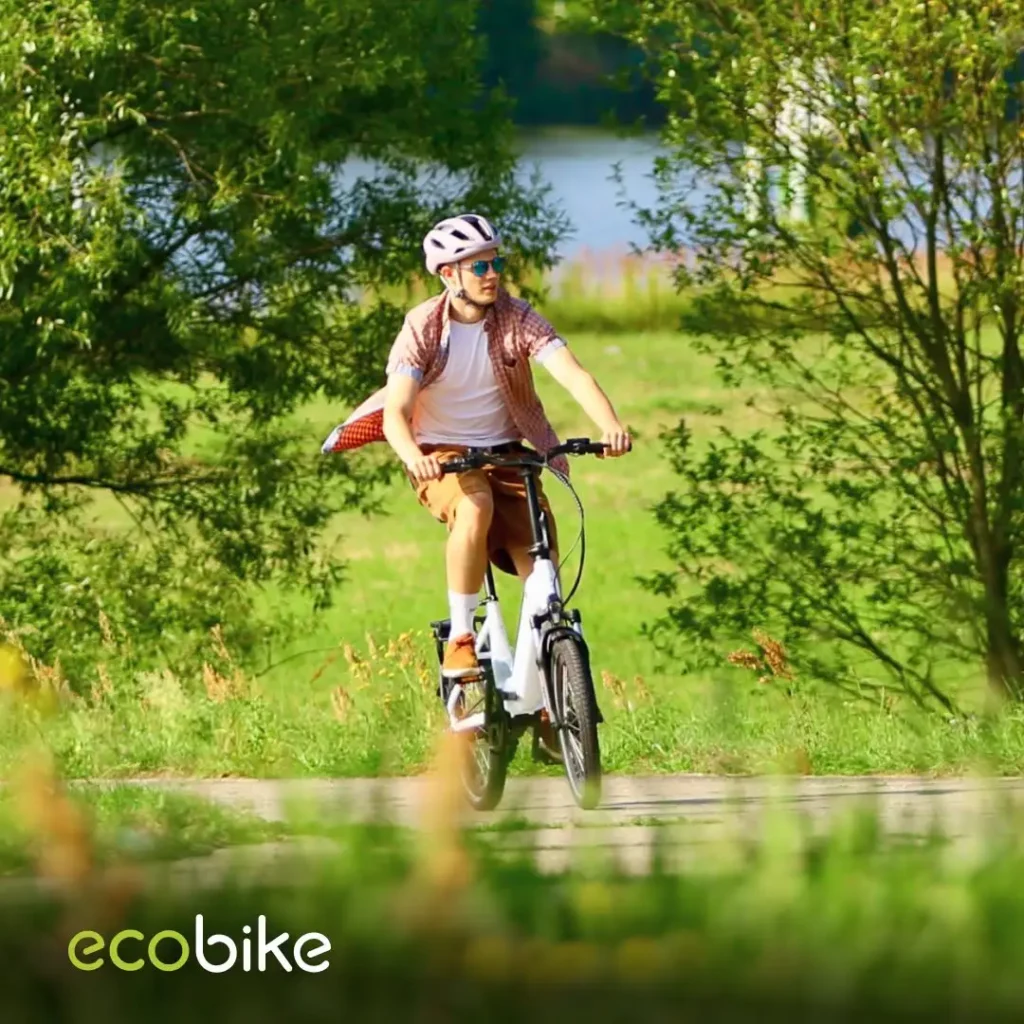 rower elektryczny składany Ecobike Rhino Cruise